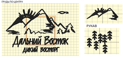 Худи оверсайз ДВ дикий восторг от АИР