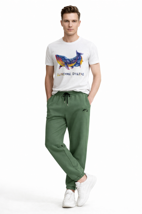 Брюки мужские Горы от АИР