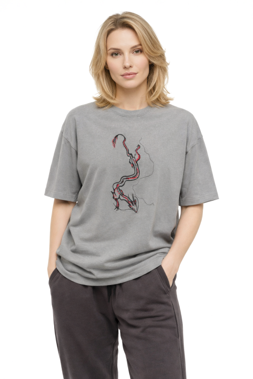 Футболка оверсайз Дракон от АИР